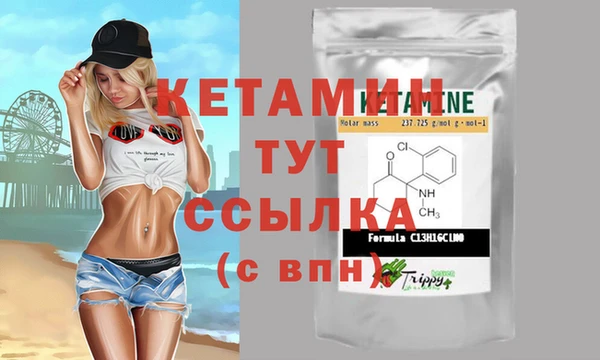 2c-b Краснослободск
