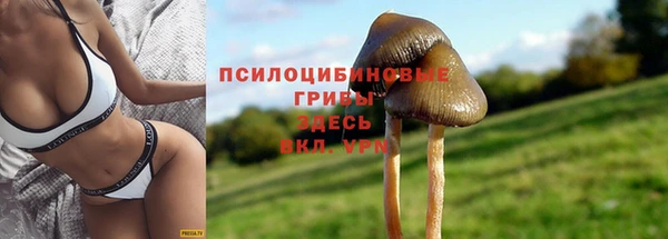 2c-b Краснослободск