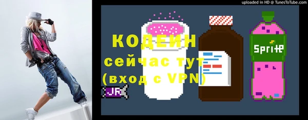 2c-b Краснослободск
