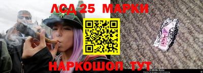 крисы Дубна