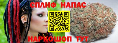 крисы Дубна