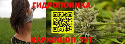 крисы Дубна