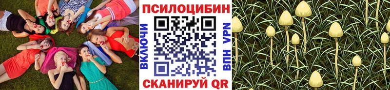 Галлюциногенные грибы Psilocybe KRAKEN ссылки Орск